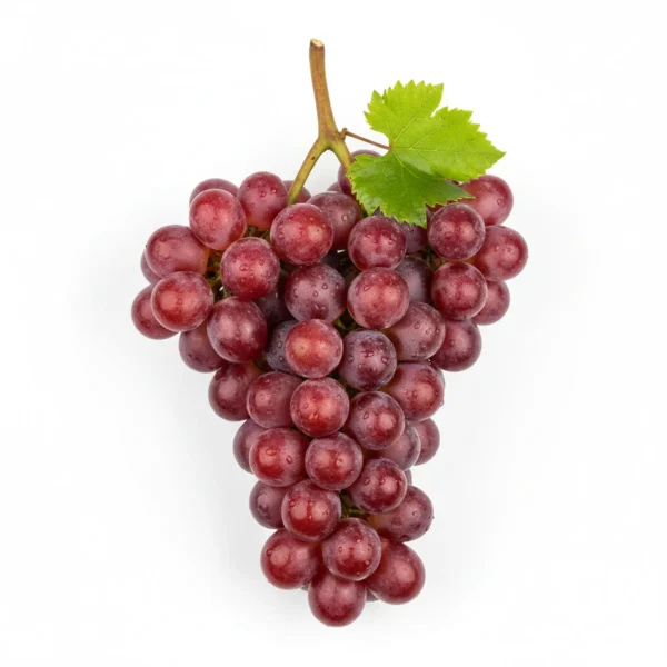 Gemini_Generated_Image_8b02bv8b02bv8b02 عنب أحمر