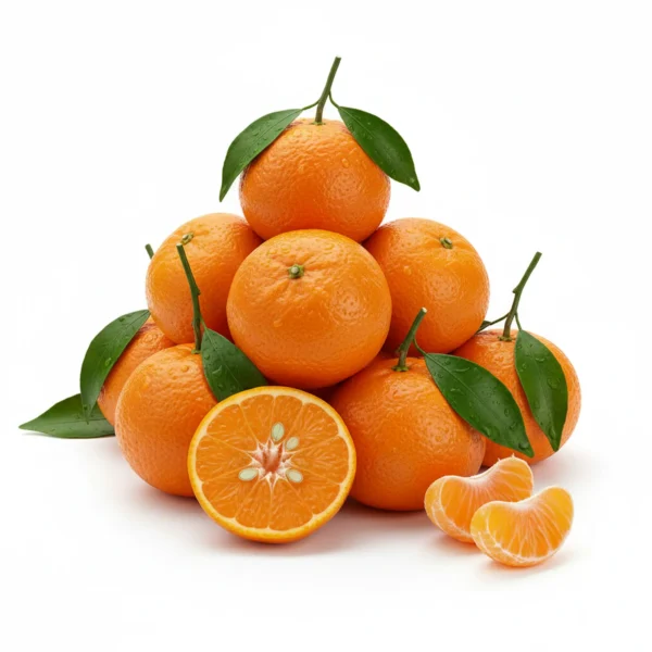 Gemini_Generated_Image_e9spqie9spqie9sp يوسفي