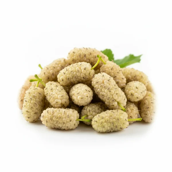 Gemini_Generated_Image_gjmbyugjmbyugjmb توت أبيض