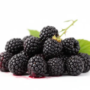 Gemini_Generated_Image_jwesztjwesztjwes توت أسود