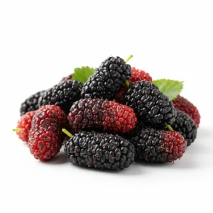 Gemini_Generated_Image_k8xkh9k8xkh9k8xk توت