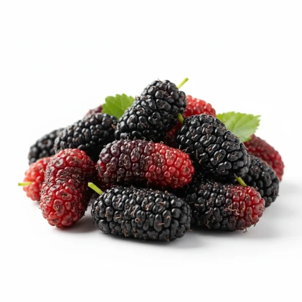 Gemini_Generated_Image_k8xkh9k8xkh9k8xk توت