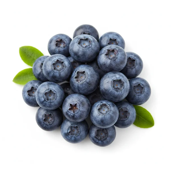 Gemini_Generated_Image_sy5193sy5193sy51 بلو بيري