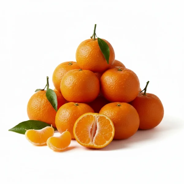 Gemini_Generated_Image_1ffpcx1ffpcx1ffp يوسفي