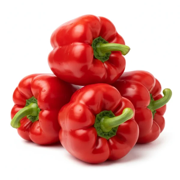 Gemini_Generated_Image_3xeo1u3xeo1u3xeo فلفل رومي احمر