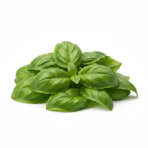 Gemini_Generated_Image_4t5t1m4t5t1m4t5t ريحان