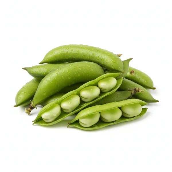 Gemini_Generated_Image_9etut89etut89etu فول حَراتي