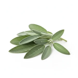 Gemini_Generated_Image_aukv0zaukv0zaukv مرمرية