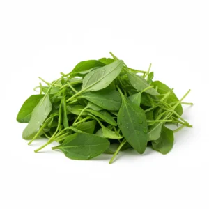 Gemini_Generated_Image_b63fuxb63fuxb63f رِجلة