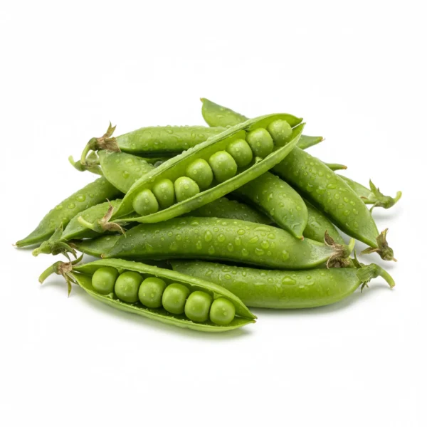 Gemini_Generated_Image_fd8hn7fd8hn7fd8h بسلة