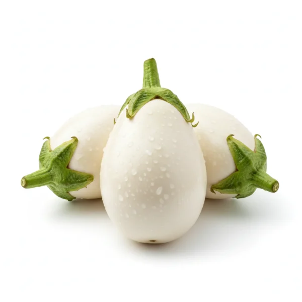 Gemini_Generated_Image_hyn5l6hyn5l6hyn5 بتنجان عروس أبيض