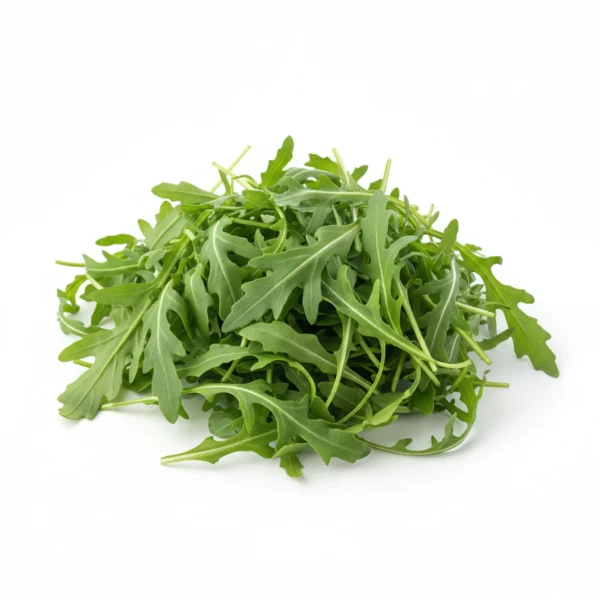 Gemini_Generated_Image_in0v04in0v04in0v جرجير