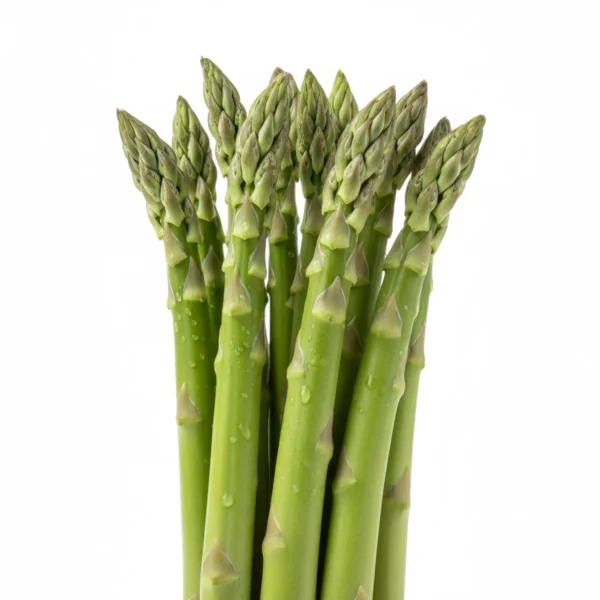 Gemini_Generated_Image_k8pc9kk8pc9kk8pc إسبرجس