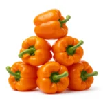 Gemini_Generated_Image_kjozw7kjozw7kjoz