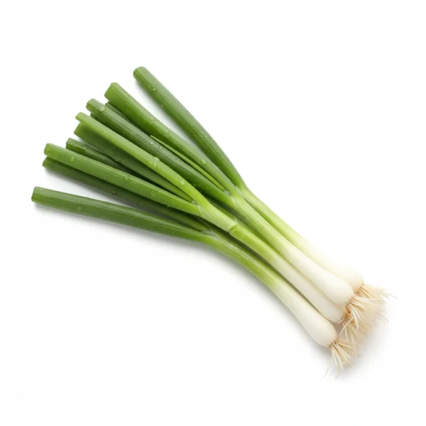 Gemini_Generated_Image_qkjku4qkjku4qkjk بصل أخضر