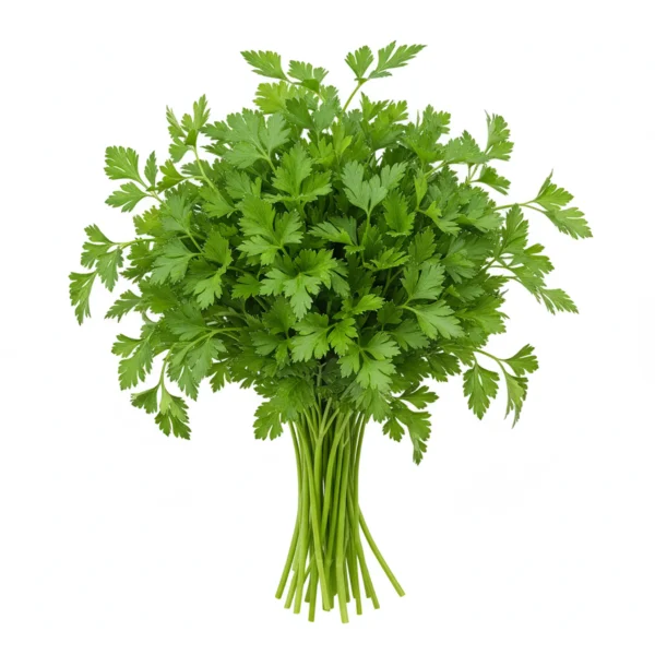 Gemini_Generated_Image_r0a71jr0a71jr0a7 بقدونس