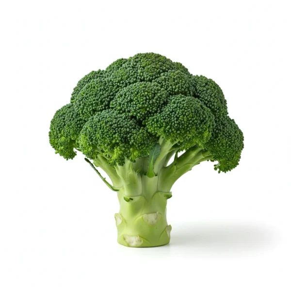 Gemini_Generated_Image_vcuk7evcuk7evcuk بروكلي