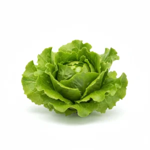 Gemini_Generated_Image_wbcv3owbcv3owbcv كابوتشا