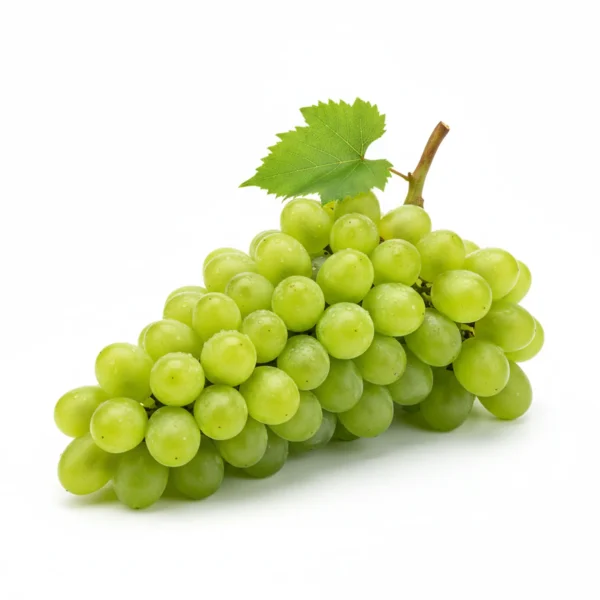 Gemini_Generated_Image_x5hgblx5hgblx5hg عنب اخضر