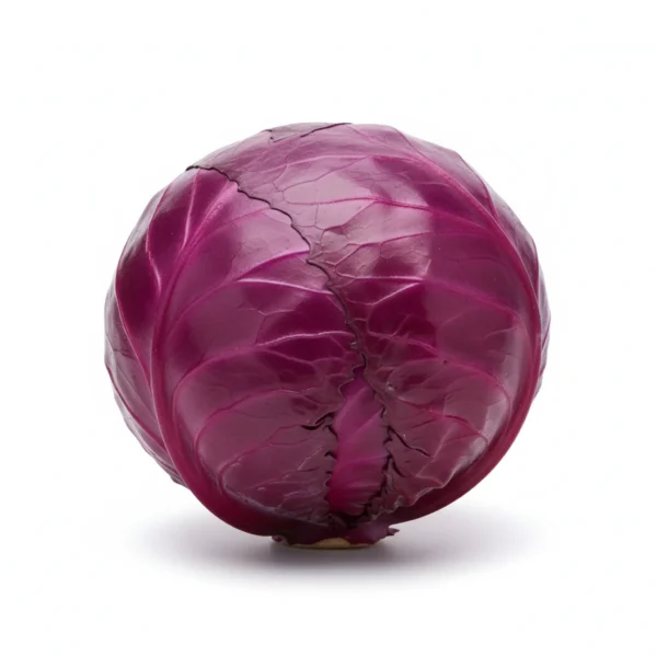 Gemini_Generated_Image_ywnbm3ywnbm3ywnb كرنب أحمر